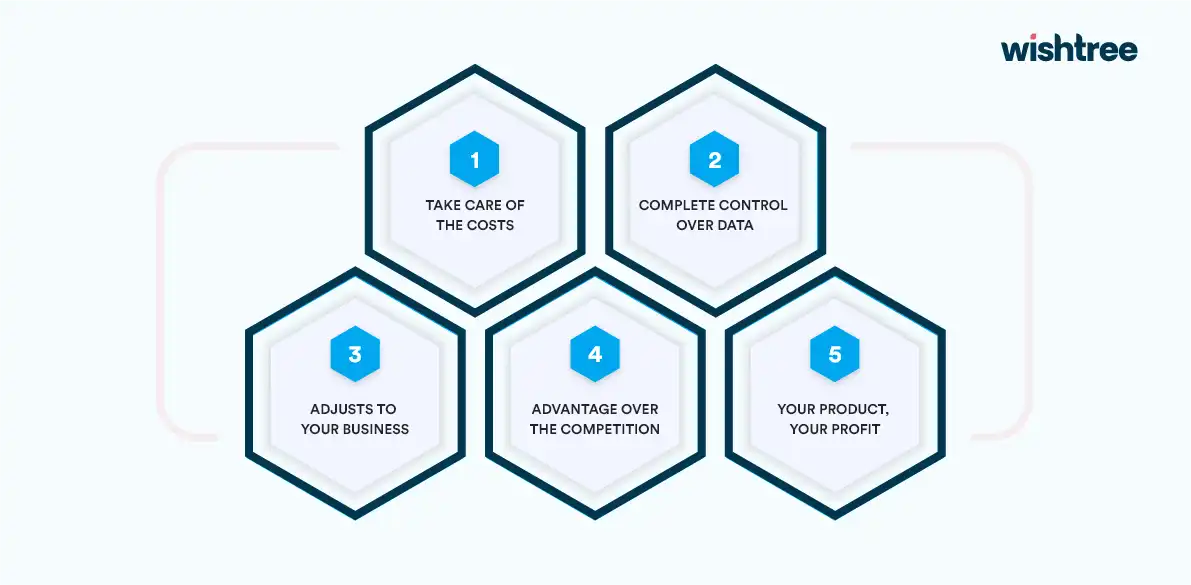 custom software development